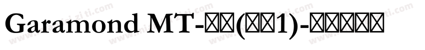 Garamond MT-粗体(类型1)字体转换